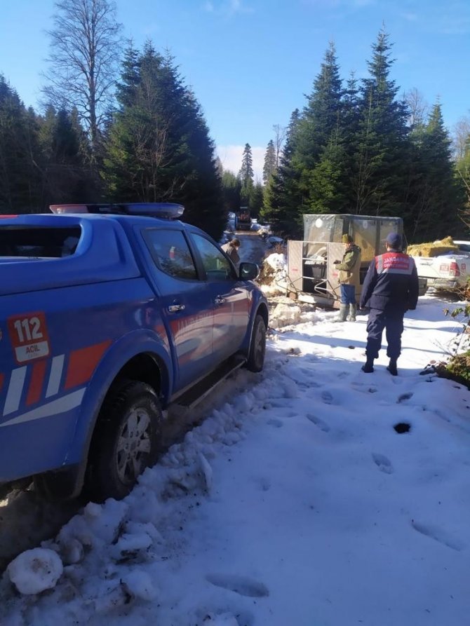 Jandarma Tarafından Yaban Hayvanlarına Yem Bırakıldı
