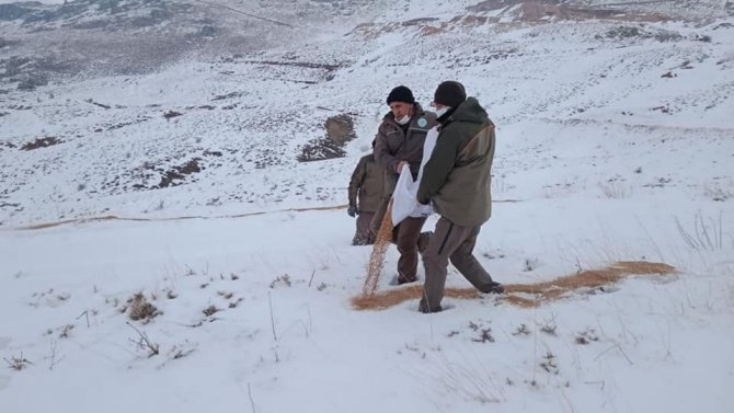 Elazığ’da Yaban Hayvanları İçin Doğaya Yem Bırakıldı