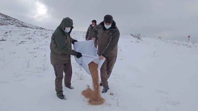 Elazığ’da Yaban Hayvanları İçin Doğaya Yem Bırakıldı