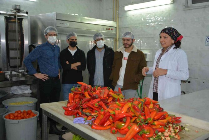 Düzce Üniversitesi Öğrencileri Açık Mutfakta