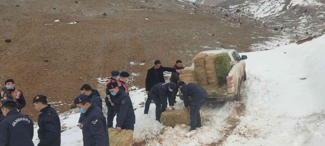 Karla Kaplı Dağlara Yaban Hayvanları İçin Yem Bıraktılar
