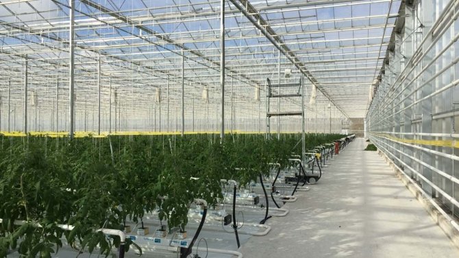 Kozaklı Osb Başvurusu Kabul Edildi