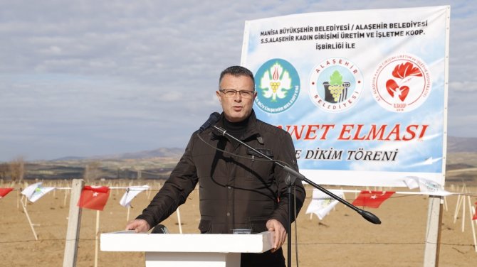 Cennet Elması Belediyenin Yeni Gelir Kapısı Olacak