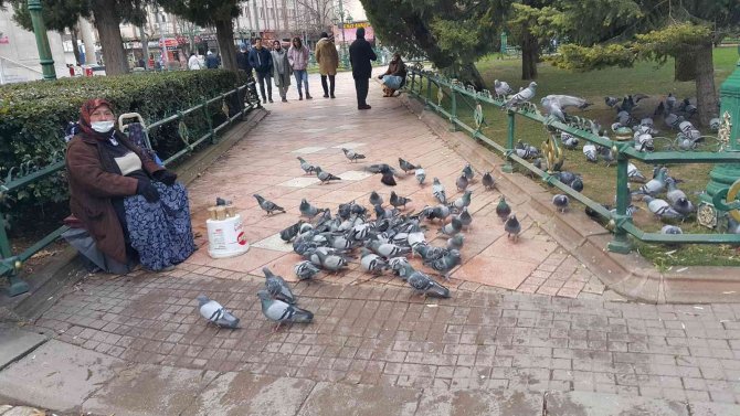 70 Yaşındaki Engelli Kadın Hem Para Kazanıyor Hem Kuşları Besliyor