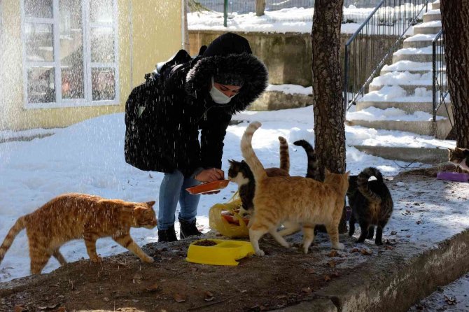 Hayvansever Psikolog Örnek Oluyor
