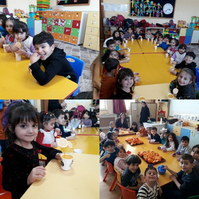 Hakkarili Miniklerden ’C Vitamini Şenliği’