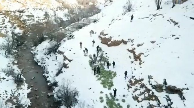 Tunceli’de Doğaya Yem Bırakıldı, Dağ Keçileri Akın Etti