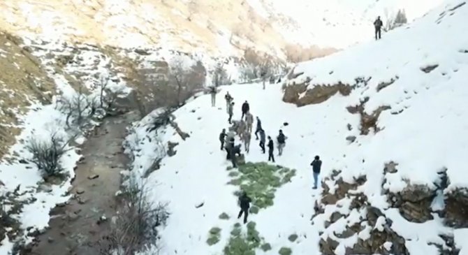 Tunceli’de Doğaya Yem Bırakıldı, Dağ Keçileri Akın Etti