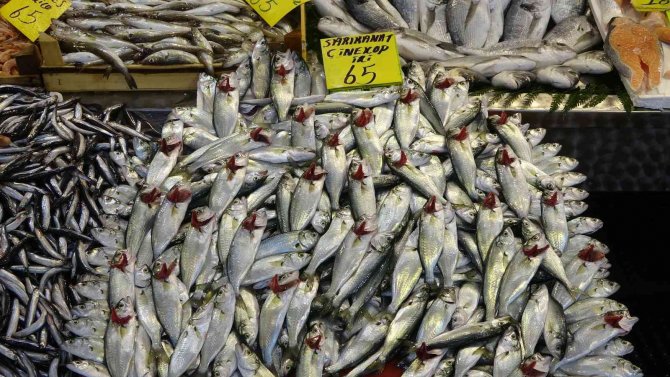 Mevsimin En Lezzetli Balığı İstavrit Oldu