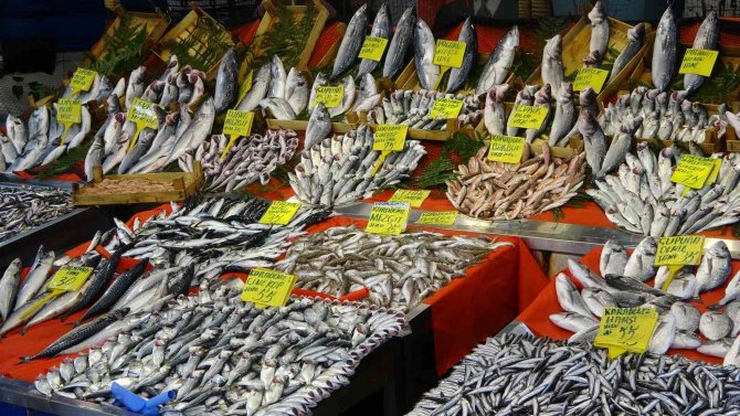 Mevsimin En Lezzetli Balığı İstavrit Oldu