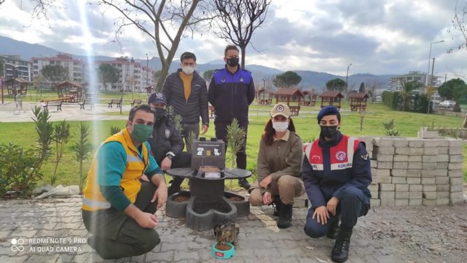 Sokak Hayvanları Yalnız Değil