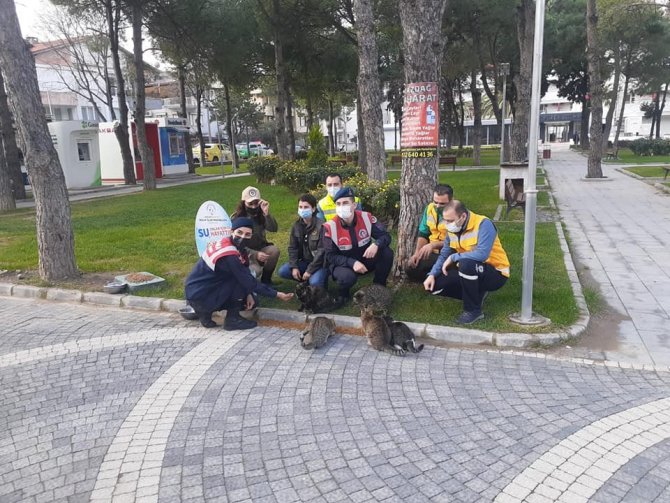 Sokak Hayvanları Yalnız Değil