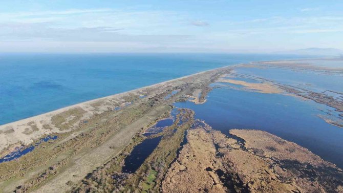 Karacabey Longoz Ormanları Suyla Buluşmaya Başladı