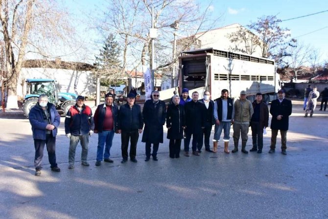 İ̇nönü’de Manda Kaymağı Ve Yoğurdunun Üretimine Büyük Destek