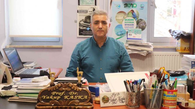 6 Milyon Kişinin İzlediği Kaplumbağa Tuba Hırvatistan’a Ulaştı