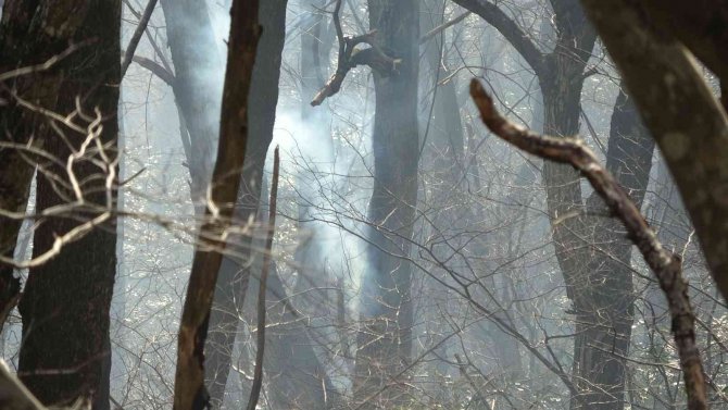 Ordu’da Orman Yangını
