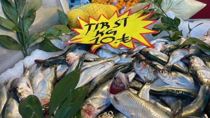 Bu Balık Pek Bilinmiyor Ama Mangalları Söndürüyor