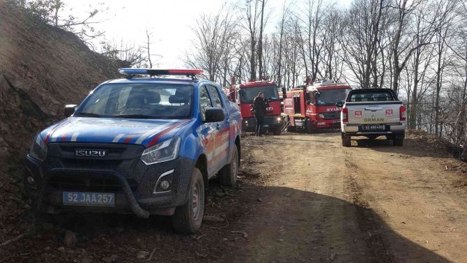 Ordu’da Orman Yangını