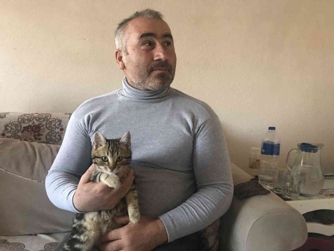 Kendisini Belgesele Kaptıran Kedinin Verdiği Tepki İzleyenleri Güldürdü