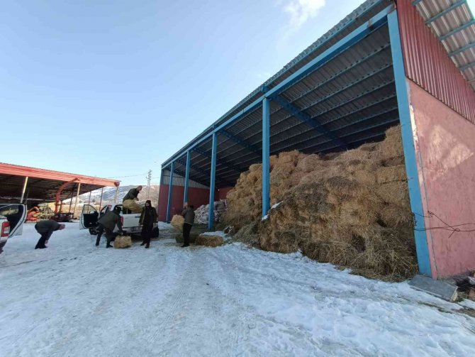 Bingöl’de Yaban Hayvanları İçin Karla Kaplı Dağlara Yem Bırakıldı