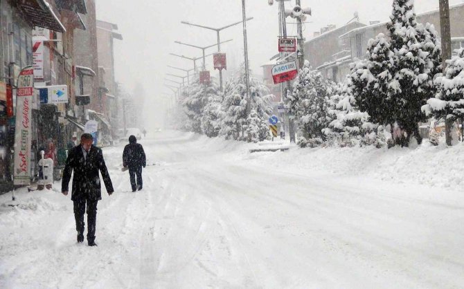 Ahlat’ta Yoğun Kar Yağışı