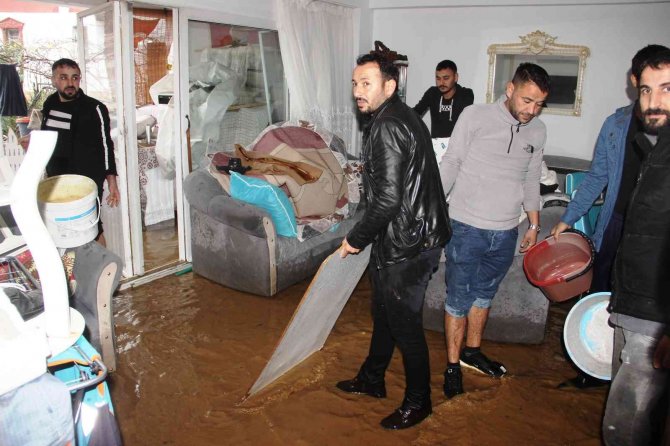 Bodrum’da Sel Faciası, Evleri Su Bastı, Sokak Hayvanları Boğuldu