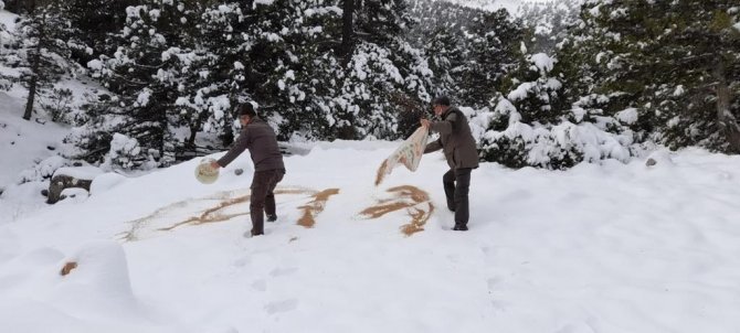 Yaban Hayat İçin 600 Kilogram Yem Bırakıldı