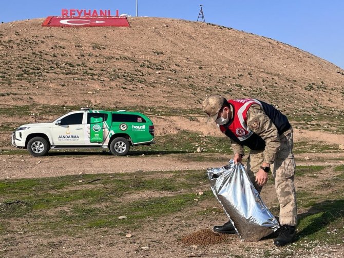 Jandarma Ekiplerinden Sokak Hayvanlarına Mama Ve Su Desteği