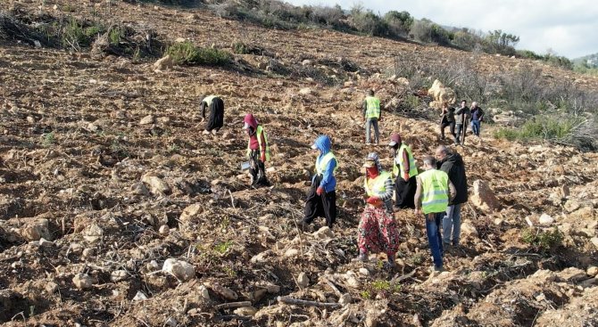 İ̇zmir’de Yanan Ormanlar Yeniden Yeşeriyor