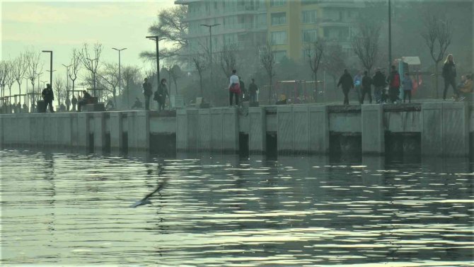 Kurbağalıdere’de Tonlarca Ağırlıktaki Beton Plakalar Suya Düştü