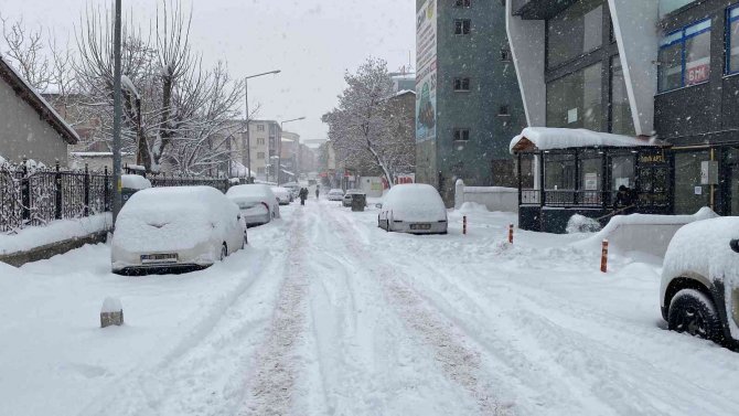 Muş’ta 261 Köy Yolu Ulaşıma Kapandı