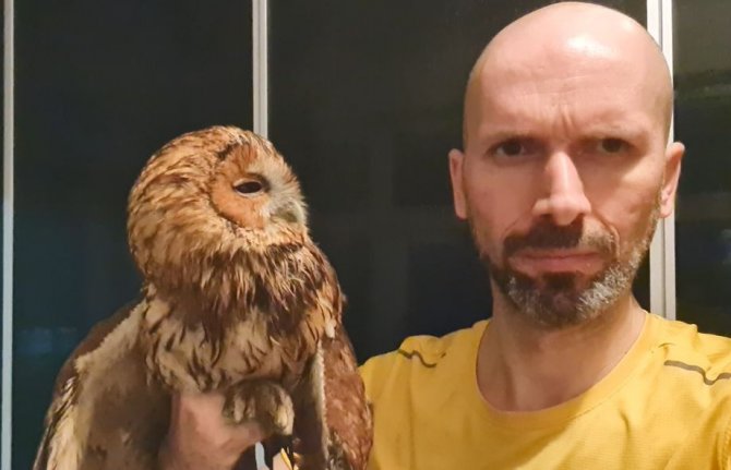 Evine Giren Baykuşu Önce Sevdi Sonra Doğaya Bıraktı