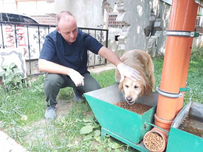 Atakum Belediyesi’nden Sokak Hayvanlarına 9 Ton Mama Desteği