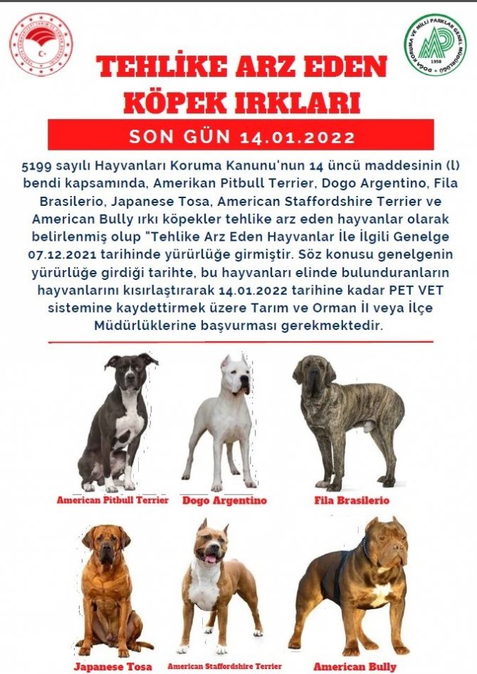 Tehlikeli Köpekler Kısırlaştırılarak Petvet Sistemine Kayıt Edilecek