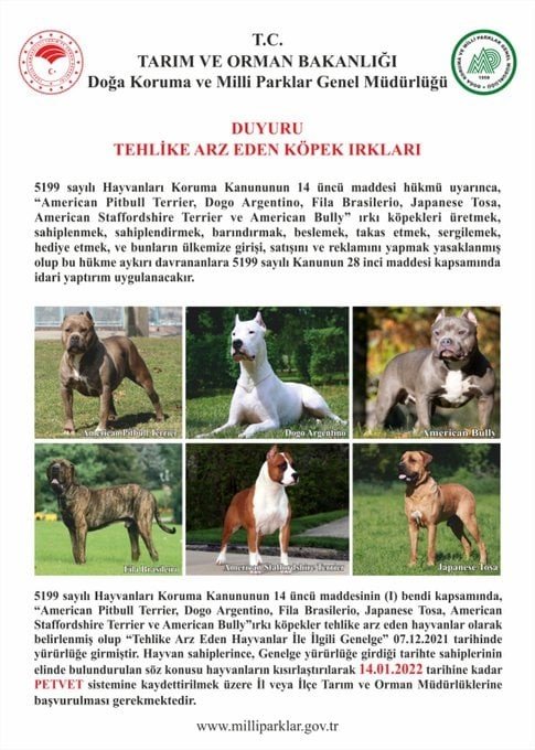 Tehlikeli Köpekler Kısırlaştırılarak Petvet Sistemine Kayıt Edilecek