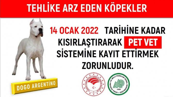 Tehlikeli Köpekler Kısırlaştırılarak Petvet Sistemine Kayıt Edilecek