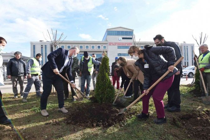 Üniversite Hastanesi Daha Yeşil Ve Estetik Çehreye Kavuşuyor