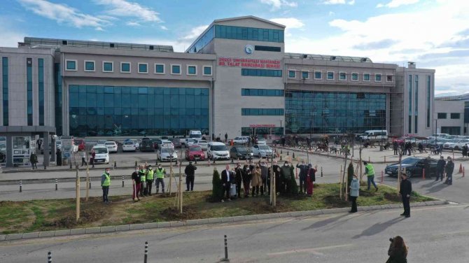 Üniversite Hastanesi Daha Yeşil Ve Estetik Çehreye Kavuşuyor