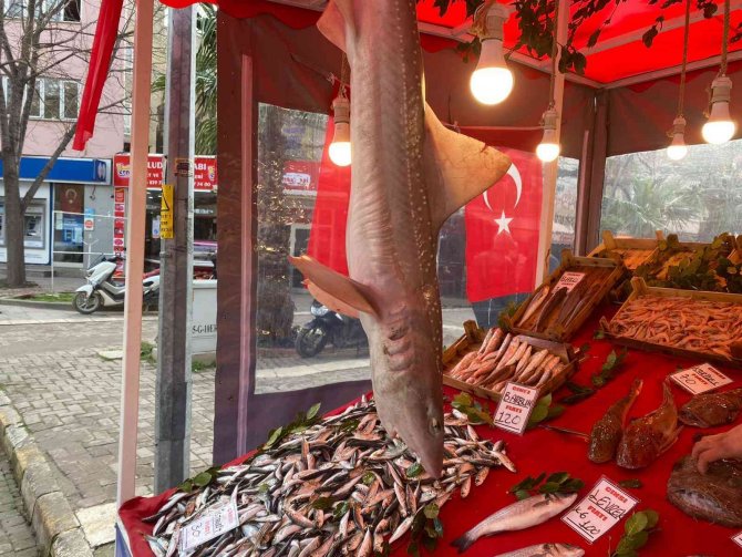 Balık Tezgahlarında Hamsi Sıkıntısı