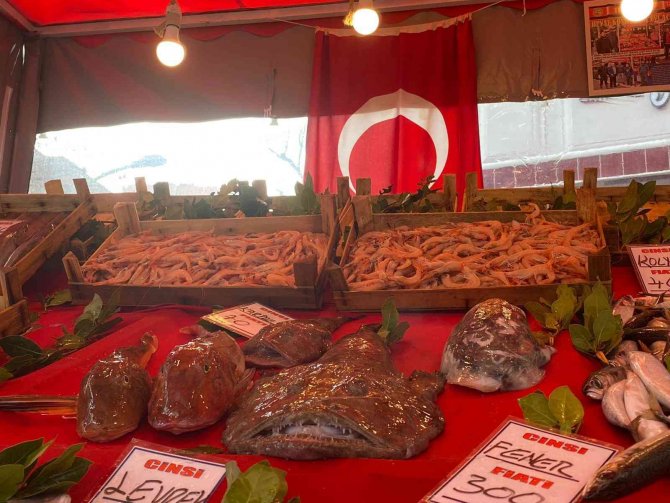 Balık Tezgahlarında Hamsi Sıkıntısı
