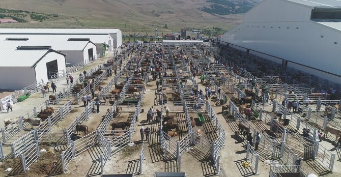 Doğu’nun İncisi Hayvan Borsası Sektörde Rol Modeli Oldu