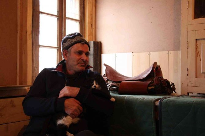 Göz Bebeği Yeşil Kedi Dikkat Çekiyor