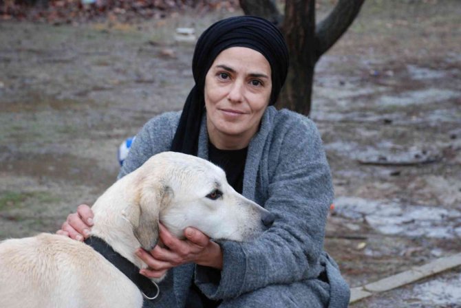 Menderes’te Başıboş Köpekler, Mahallelinin Kabusu Oldu