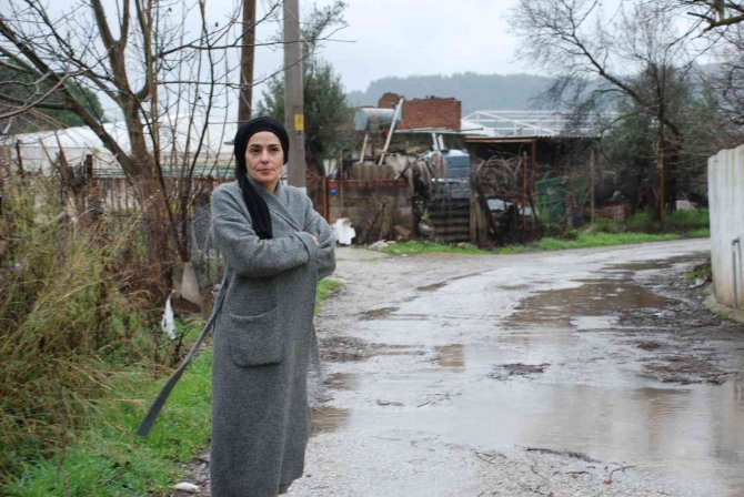 Menderes’te Başıboş Köpekler, Mahallelinin Kabusu Oldu