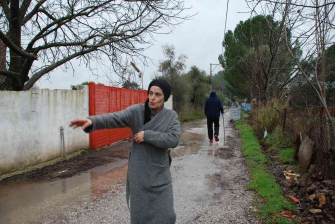 Menderes’te Başıboş Köpekler, Mahallelinin Kabusu Oldu