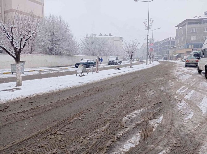 Tuzluca’da Kar Yağışı Etkili Oluyor