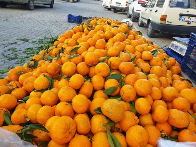 Bağışıklık Sistemini Güçlendiren Mandalinaya Talep Arttı
