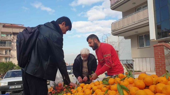 Bağışıklık Sistemini Güçlendiren Mandalinaya Talep Arttı