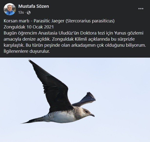 “Korsan Martı” Zonguldak Semalarında Görüldü