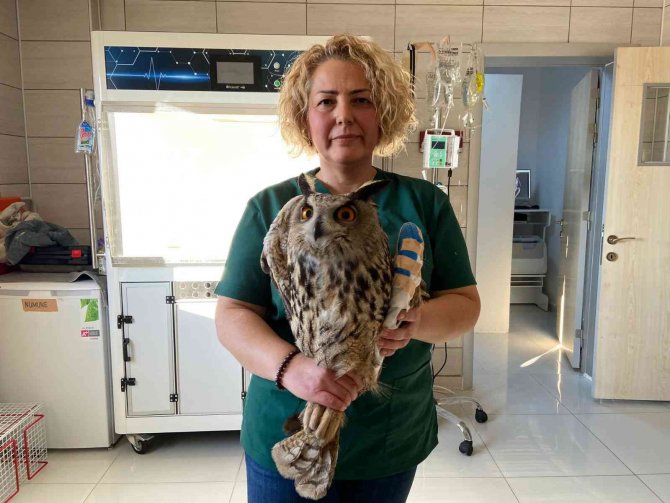 Ne Yazık Ki Uçamayabilir